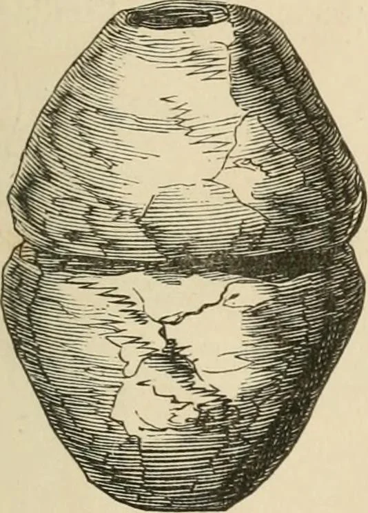An illustration from Grave-mounds and their contents; a manual of archaeology, as exemplified in the burials of the Celtic, the Romano-British, and the Anglo-Saxon periods, 1870, leaf 325