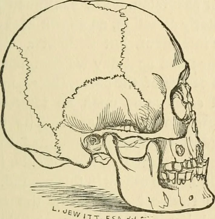 An illustration from Grave-mounds and their contents; a manual of archaeology, as exemplified in the burials of the Celtic, the Romano-British, and the Anglo-Saxon periods, 1870, leaf 51