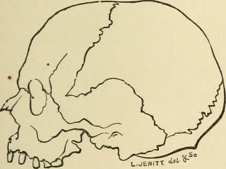 An illustration from Grave-mounds and their contents; a manual of archaeology, as exemplified in the burials of the Celtic, the Romano-British, and the Anglo-Saxon periods, 1870, leaf 69