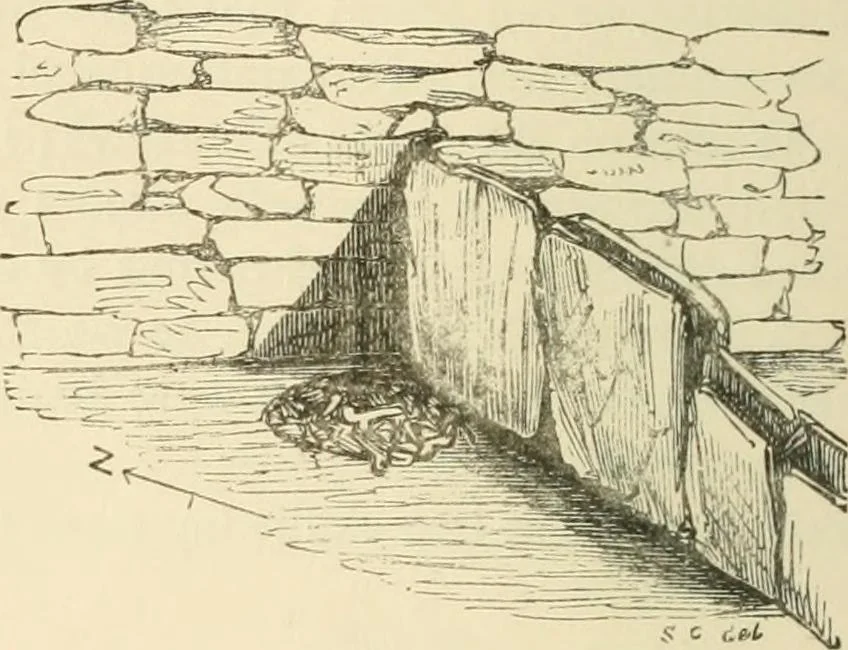 An illustration from Grave-mounds and their contents; a manual of archaeology, as exemplified in the burials of the Celtic, the Romano-British, and the Anglo-Saxon periods, 1870, leaf 70