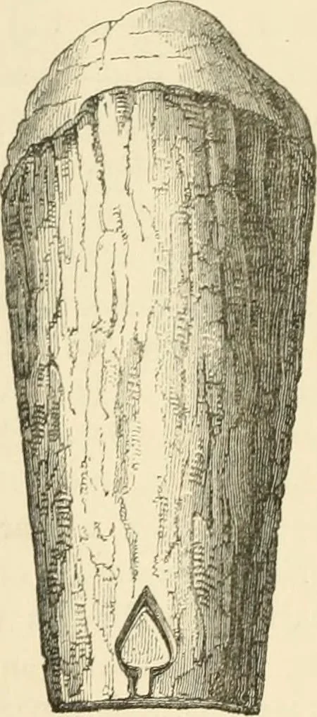 An illustration from Grave-mounds and their contents; a manual of archaeology, as exemplified in the burials of the Celtic, the Romano-British, and the Anglo-Saxon periods, 1870, leaf 78