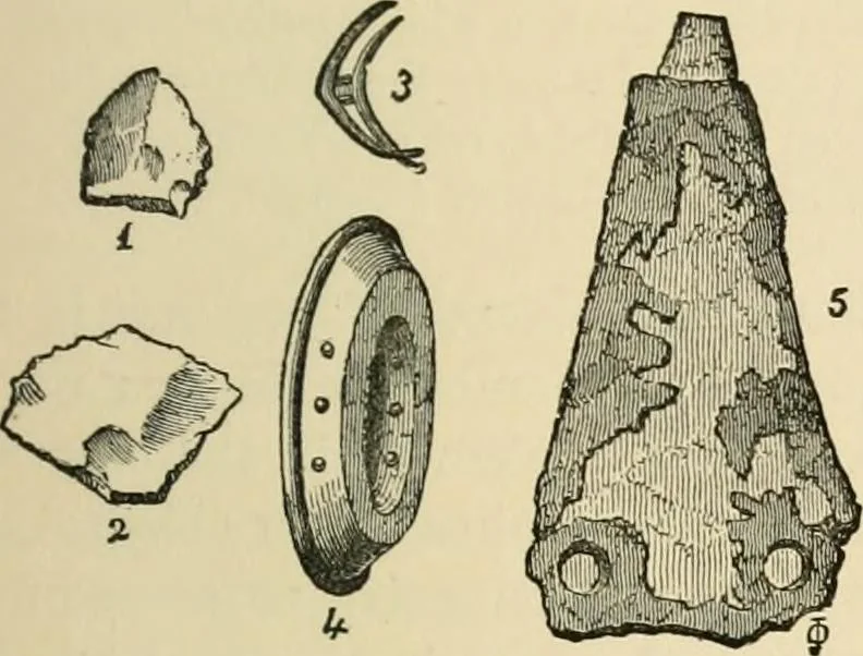 An illustration from Grave-mounds and their contents; a manual of archaeology, as exemplified in the burials of the Celtic, the Romano-British, and the Anglo-Saxon periods, 1870, leaf 79