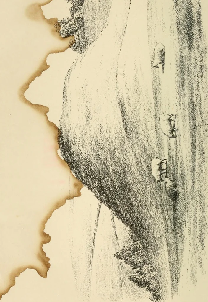 An illustration from Grave-mounds and their contents; a manual of archaeology, as exemplified in the burials of the Celtic, the Romano-British, and the Anglo-Saxon periods, 1870, leaf 8