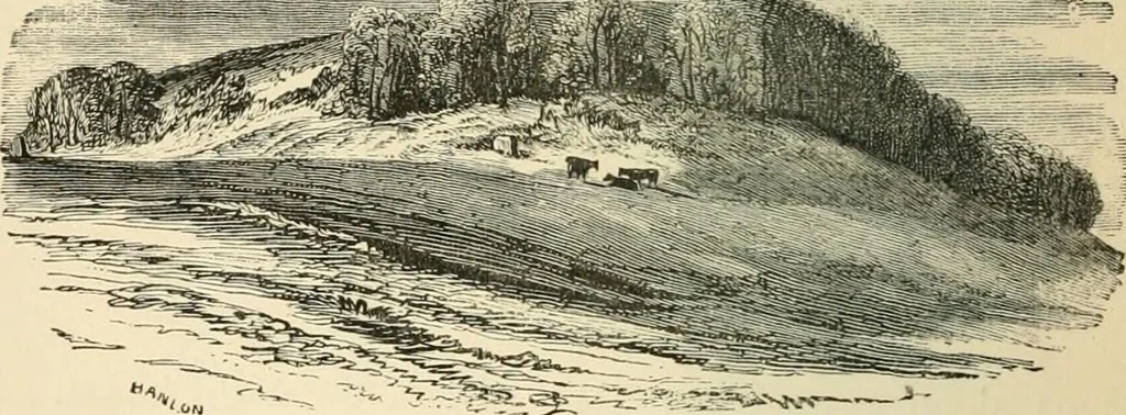 An illustration from Grave-mounds and their contents; a manual of archaeology, as exemplified in the burials of the Celtic, the Romano-British, and the Anglo-Saxon periods, 1870, leaf 86