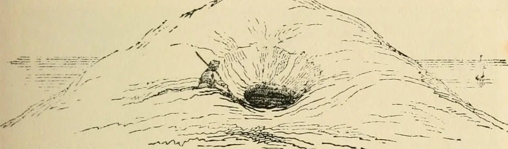 An illustration from Grave-mounds and their contents; a manual of archaeology, as exemplified in the burials of the Celtic, the Romano-British, and the Anglo-Saxon periods, 1870, leaf 95