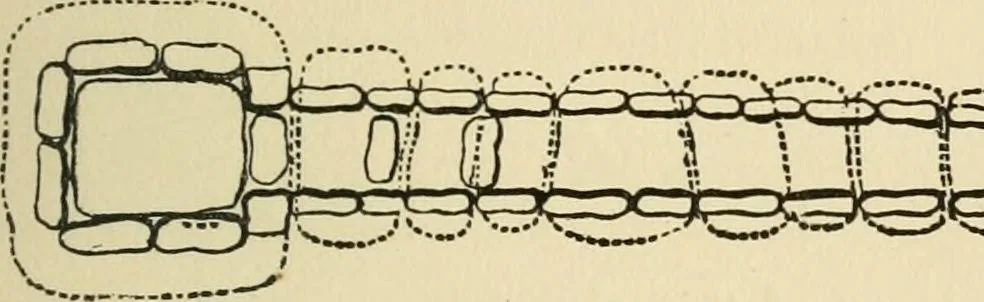 An illustration from Grave-mounds and their contents; a manual of archaeology, as exemplified in the burials of the Celtic, the Romano-British, and the Anglo-Saxon periods, 1870, leaf 95