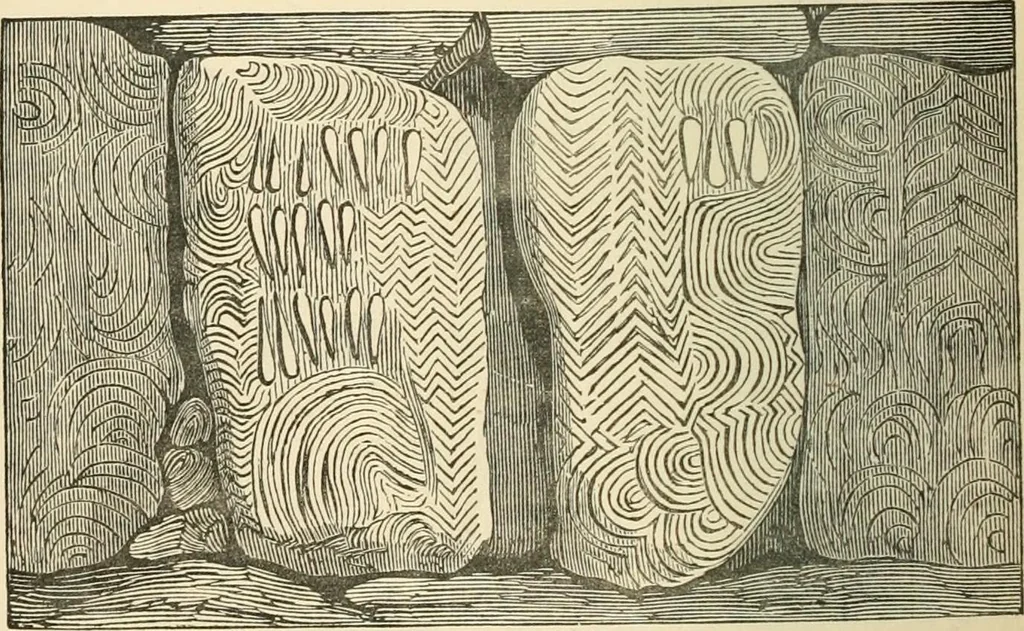 An illustration from Grave-mounds and their contents; a manual of archaeology, as exemplified in the burials of the Celtic, the Romano-British, and the Anglo-Saxon periods, 1870, leaf 96