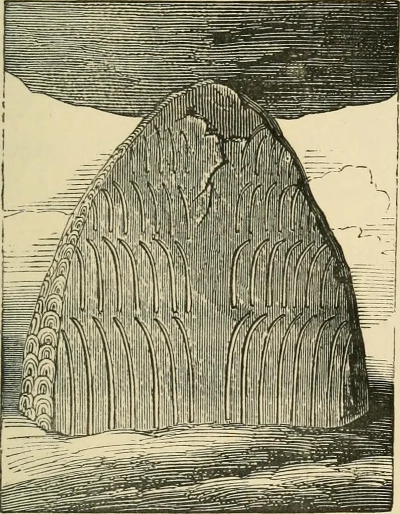 An illustration from Grave-mounds and their contents; a manual of archaeology, as exemplified in the burials of the Celtic, the Romano-British, and the Anglo-Saxon periods, 1870, leaf 97