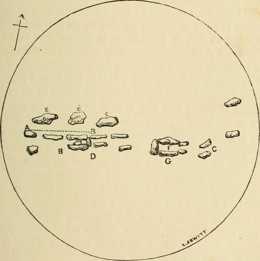 An illustration from Grave-mounds and their contents; a manual of archaeology, as exemplified in the burials of the Celtic, the Romano-British, and the Anglo-Saxon periods, 1870, leaf 99
