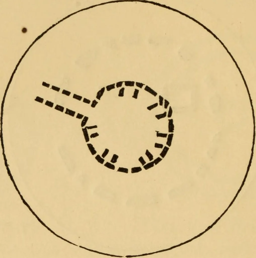 An illustration from Grave-mounds and their contents; a manual of archaeology, as exemplified in the burials of the Celtic, the Romano-British, and the Anglo-Saxon periods, 1870, leaf 108