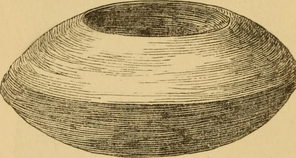An illustration from Grave-mounds and their contents; a manual of archaeology, as exemplified in the burials of the Celtic, the Romano-British, and the Anglo-Saxon periods, 1870, leaf 136