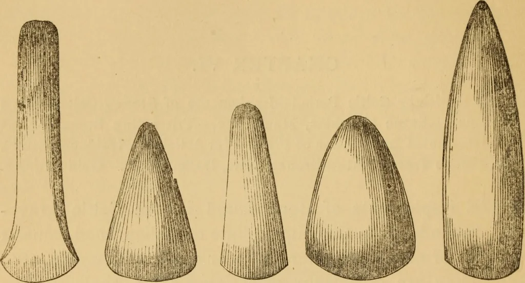 An illustration from Grave-mounds and their contents; a manual of archaeology, as exemplified in the burials of the Celtic, the Romano-British, and the Anglo-Saxon periods, 1870, leaf 140