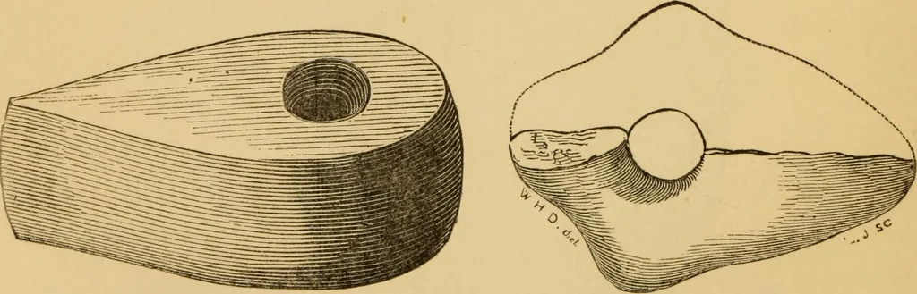 An illustration from Grave-mounds and their contents; a manual of archaeology, as exemplified in the burials of the Celtic, the Romano-British, and the Anglo-Saxon periods, 1870, leaf 142