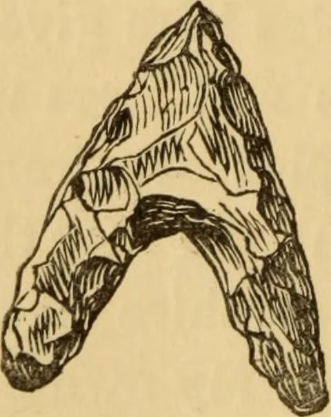An illustration from Grave-mounds and their contents; a manual of archaeology, as exemplified in the burials of the Celtic, the Romano-British, and the Anglo-Saxon periods, 1870, leaf 146