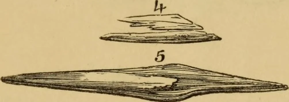 An illustration from Grave-mounds and their contents; a manual of archaeology, as exemplified in the burials of the Celtic, the Romano-British, and the Anglo-Saxon periods, 1870, leaf 155