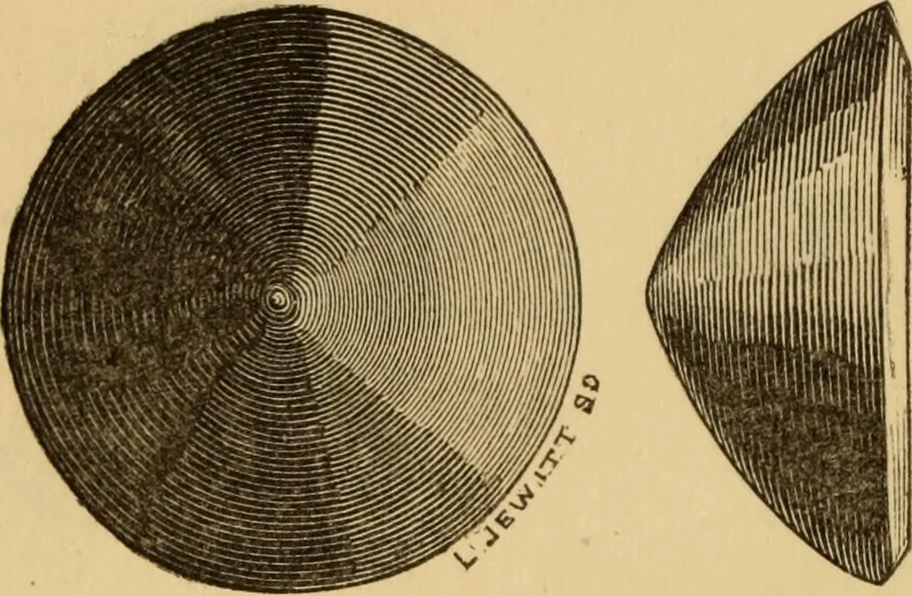 An illustration from Grave-mounds and their contents; a manual of archaeology, as exemplified in the burials of the Celtic, the Romano-British, and the Anglo-Saxon periods, 1870, leaf 156