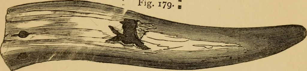 An illustration from Grave-mounds and their contents; a manual of archaeology, as exemplified in the burials of the Celtic, the Romano-British, and the Anglo-Saxon periods, 1870, leaf 157