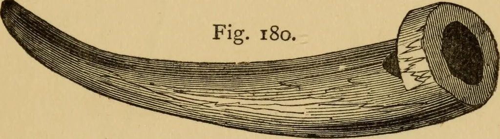 An illustration from Grave-mounds and their contents; a manual of archaeology, as exemplified in the burials of the Celtic, the Romano-British, and the Anglo-Saxon periods, 1870, leaf 157