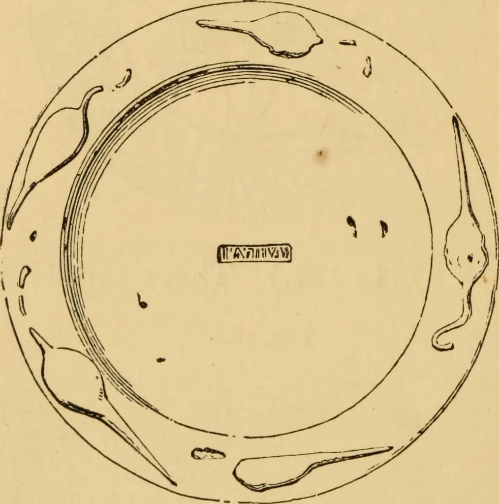 An illustration from Grave-mounds and their contents; a manual of archaeology, as exemplified in the burials of the Celtic, the Romano-British, and the Anglo-Saxon periods, 1870, leaf 210