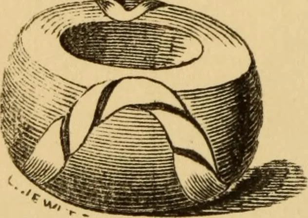 An illustration from Grave-mounds and their contents; a manual of archaeology, as exemplified in the burials of the Celtic, the Romano-British, and the Anglo-Saxon periods, 1870, leaf 216
