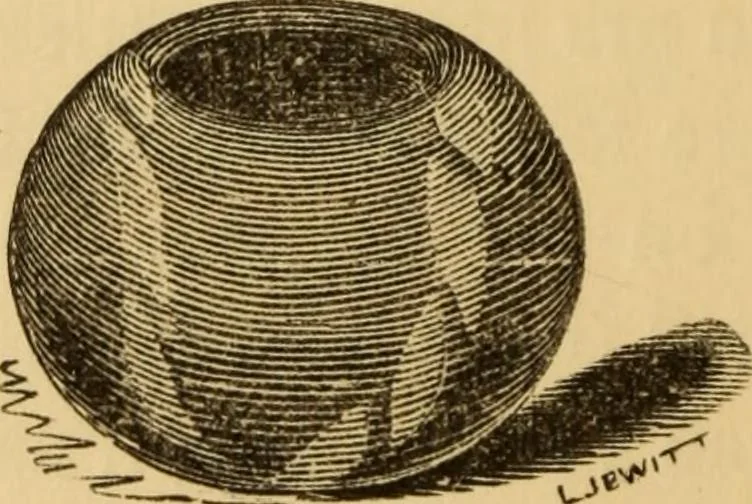 An illustration from Grave-mounds and their contents; a manual of archaeology, as exemplified in the burials of the Celtic, the Romano-British, and the Anglo-Saxon periods, 1870, leaf 216