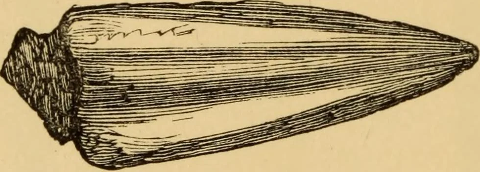 An illustration from Grave-mounds and their contents; a manual of archaeology, as exemplified in the burials of the Celtic, the Romano-British, and the Anglo-Saxon periods, 1870, leaf 222