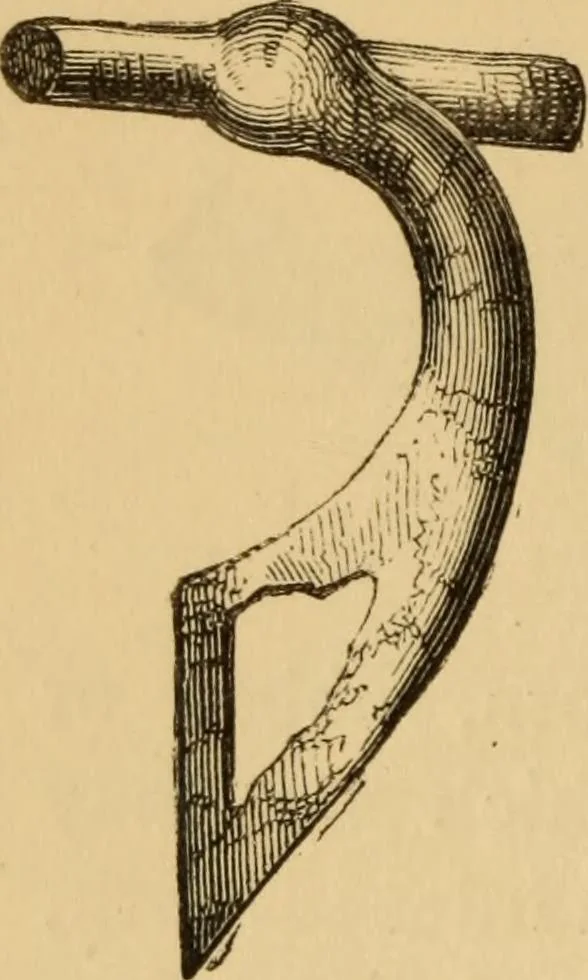 An illustration from Grave-mounds and their contents; a manual of archaeology, as exemplified in the burials of the Celtic, the Romano-British, and the Anglo-Saxon periods, 1870, leaf 224