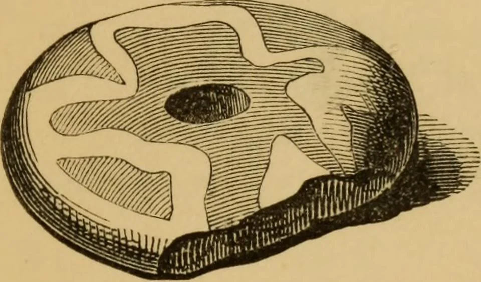 An illustration from Grave-mounds and their contents; a manual of archaeology, as exemplified in the burials of the Celtic, the Romano-British, and the Anglo-Saxon periods, 1870, leaf 263