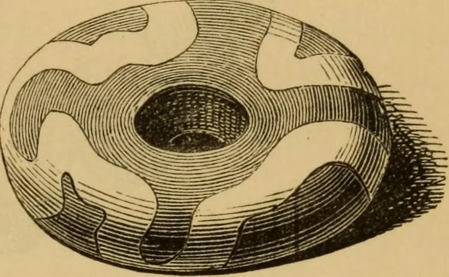 An illustration from Grave-mounds and their contents; a manual of archaeology, as exemplified in the burials of the Celtic, the Romano-British, and the Anglo-Saxon periods, 1870, leaf 263