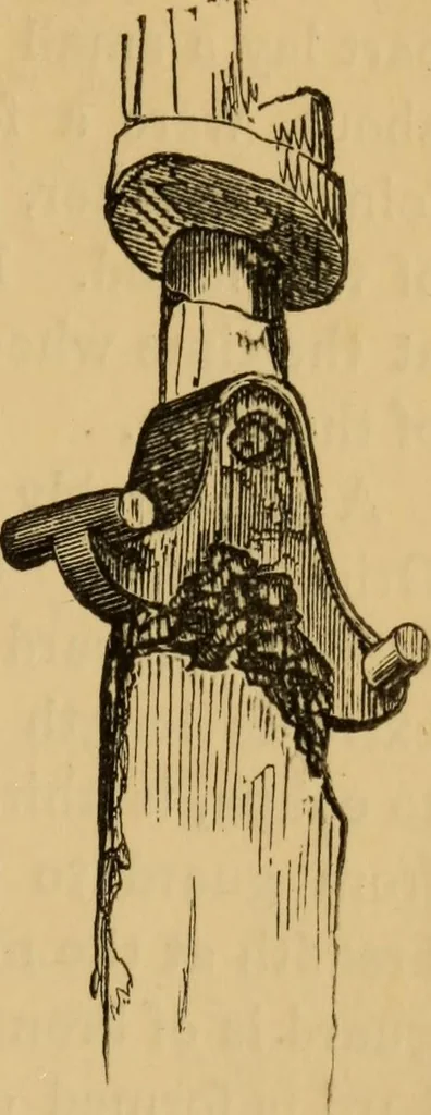 An illustration from Grave-mounds and their contents; a manual of archaeology, as exemplified in the burials of the Celtic, the Romano-British, and the Anglo-Saxon periods, 1870, leaf 267