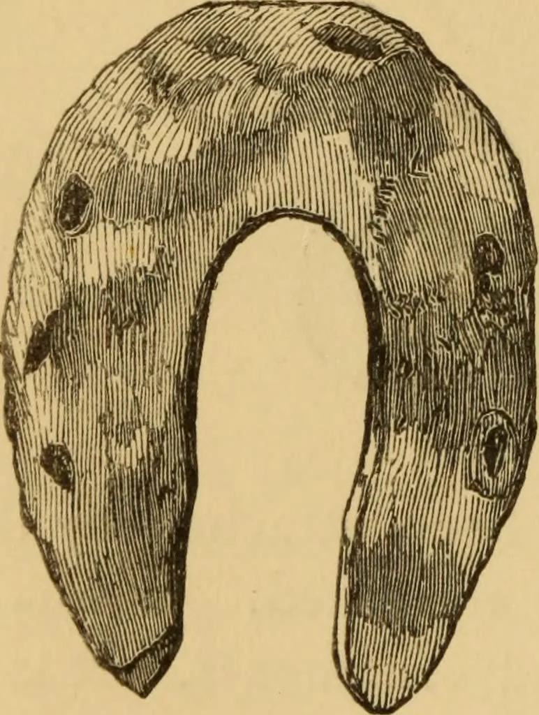 An illustration from Grave-mounds and their contents; a manual of archaeology, as exemplified in the burials of the Celtic, the Romano-British, and the Anglo-Saxon periods, 1870, leaf 294