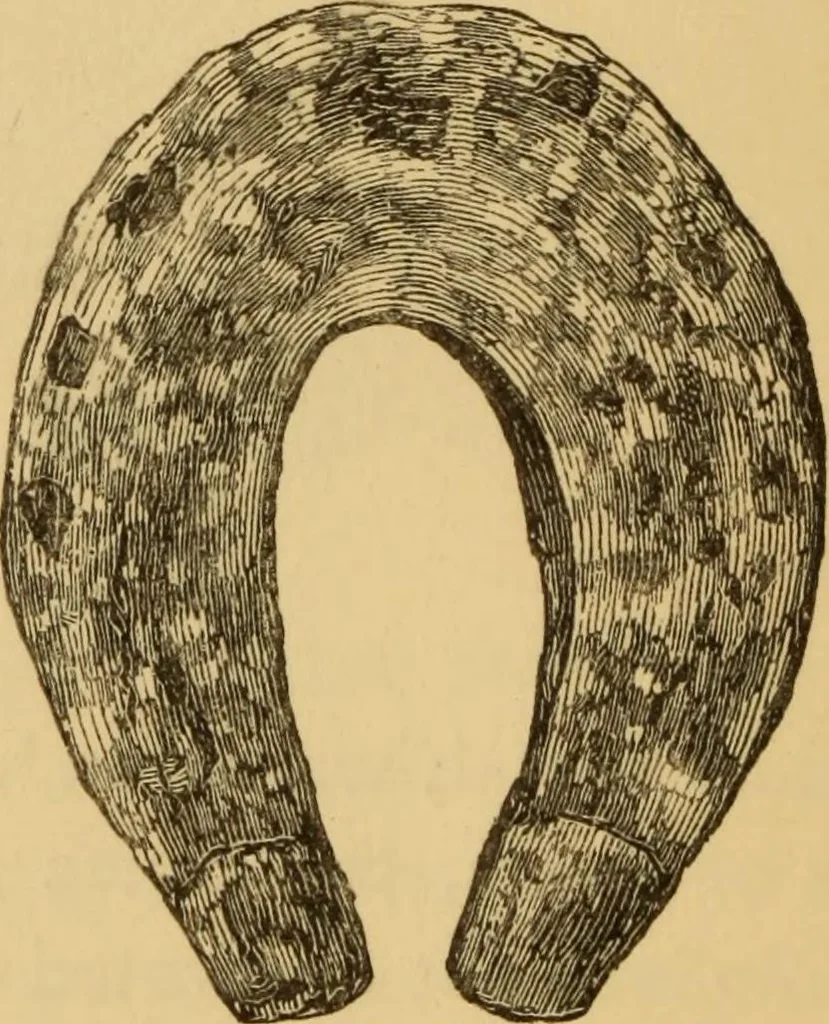 An illustration from Grave-mounds and their contents; a manual of archaeology, as exemplified in the burials of the Celtic, the Romano-British, and the Anglo-Saxon periods, 1870, leaf 294