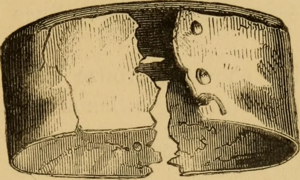 An illustration from Grave-mounds and their contents; a manual of archaeology, as exemplified in the burials of the Celtic, the Romano-British, and the Anglo-Saxon periods, 1870, leaf 315