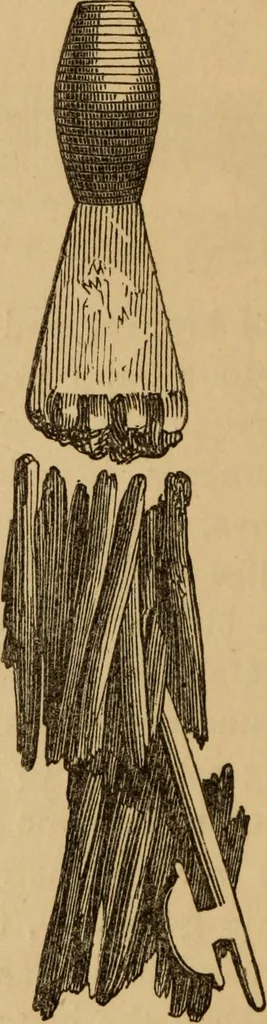 An illustration from Grave-mounds and their contents; a manual of archaeology, as exemplified in the burials of the Celtic, the Romano-British, and the Anglo-Saxon periods, 1870, leaf 320