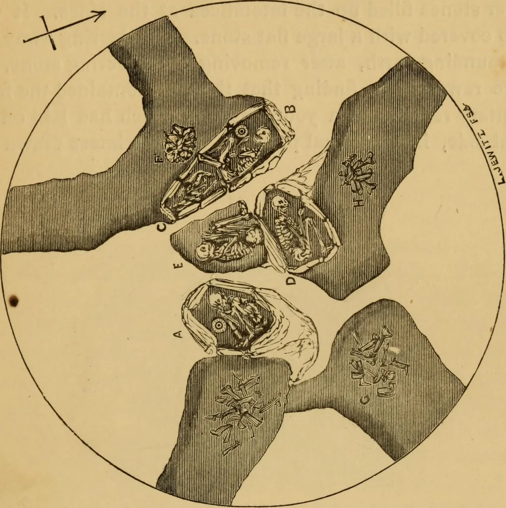 An illustration from Grave-mounds and their contents; a manual of archaeology, as exemplified in the burials of the Celtic, the Romano-British, and the Anglo-Saxon periods, 1870, leaf 47