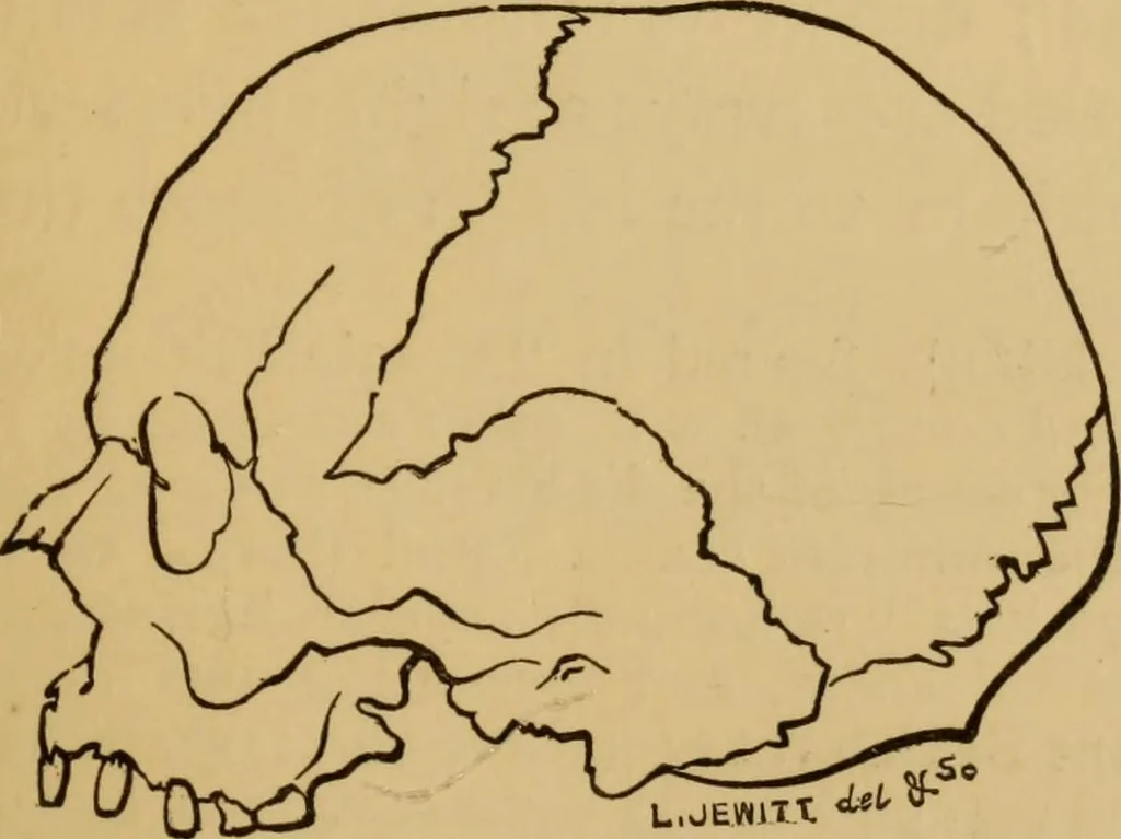 An illustration from Grave-mounds and their contents; a manual of archaeology, as exemplified in the burials of the Celtic, the Romano-British, and the Anglo-Saxon periods, 1870, leaf 69