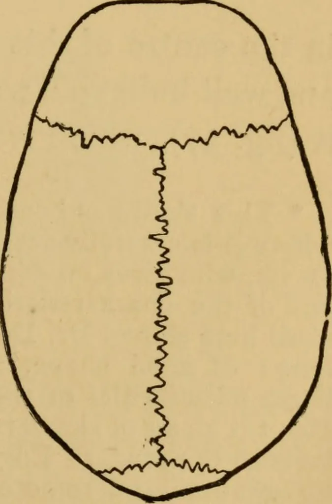 An illustration from Grave-mounds and their contents; a manual of archaeology, as exemplified in the burials of the Celtic, the Romano-British, and the Anglo-Saxon periods, 1870, leaf 69