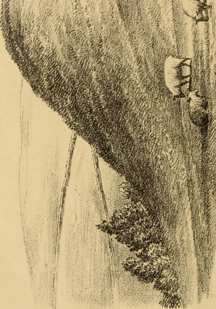 An illustration from Grave-mounds and their contents; a manual of archaeology, as exemplified in the burials of the Celtic, the Romano-British, and the Anglo-Saxon periods, 1870, leaf 8
