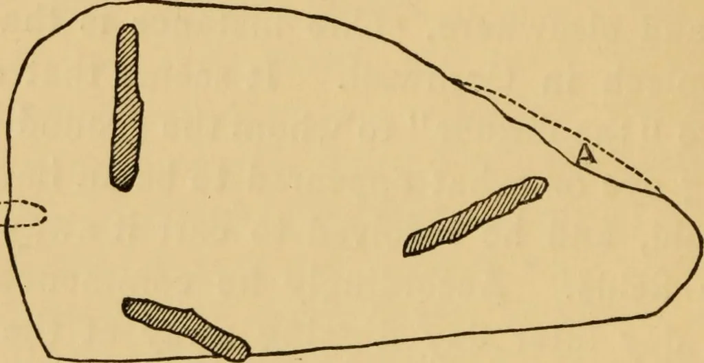 An illustration from Grave-mounds and their contents; a manual of archaeology, as exemplified in the burials of the Celtic, the Romano-British, and the Anglo-Saxon periods, 1870, leaf 82