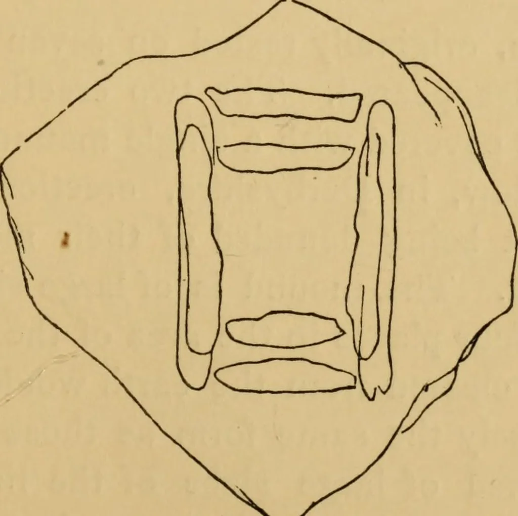 An illustration from Grave-mounds and their contents; a manual of archaeology, as exemplified in the burials of the Celtic, the Romano-British, and the Anglo-Saxon periods, 1870, leaf 83