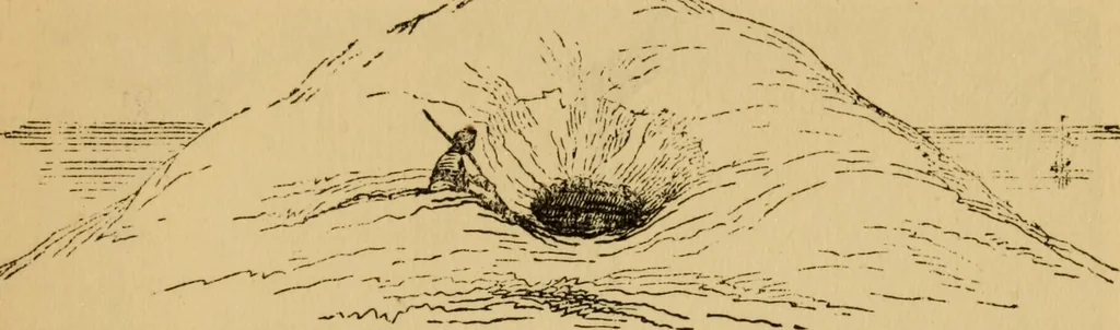 An illustration from Grave-mounds and their contents; a manual of archaeology, as exemplified in the burials of the Celtic, the Romano-British, and the Anglo-Saxon periods, 1870, leaf 95