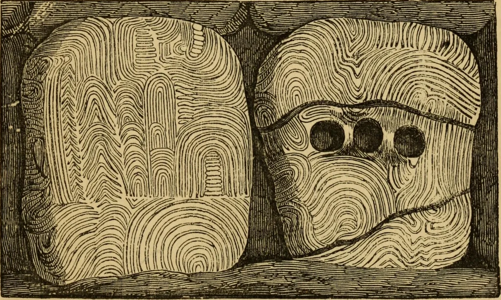 An illustration from Grave-mounds and their contents; a manual of archaeology, as exemplified in the burials of the Celtic, the Romano-British, and the Anglo-Saxon periods, 1870, leaf 95