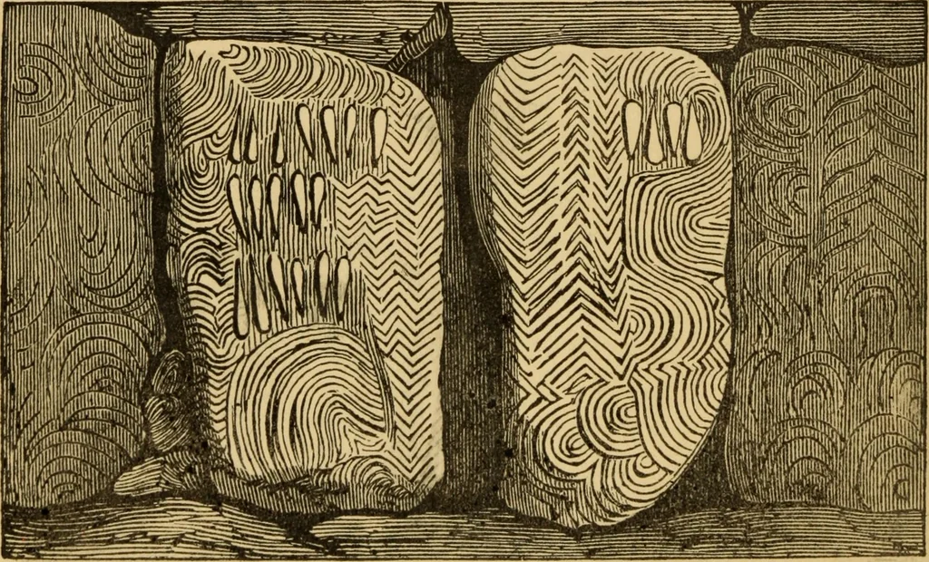 An illustration from Grave-mounds and their contents; a manual of archaeology, as exemplified in the burials of the Celtic, the Romano-British, and the Anglo-Saxon periods, 1870, leaf 96