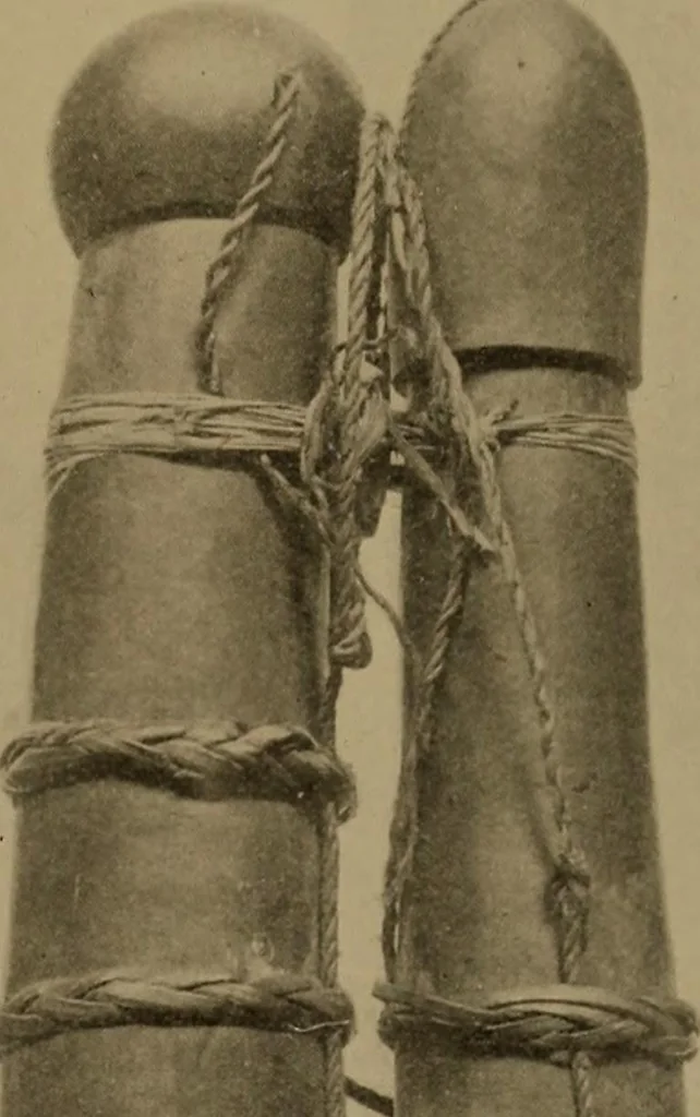 An illustration from Great Benin; its customs, art and horrors, 1903, leaf 119