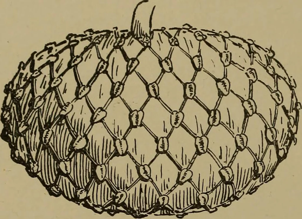 An illustration from Great Benin; its customs, art and horrors, 1903, leaf 122