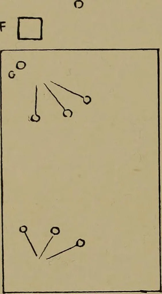 An illustration from Great Benin; its customs, art and horrors, 1903, leaf 134