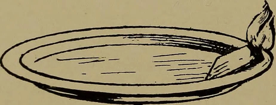 An illustration from Great Benin; its customs, art and horrors, 1903, leaf 134