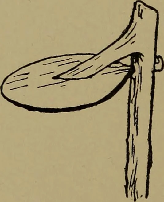 An illustration from Great Benin; its customs, art and horrors, 1903, leaf 146