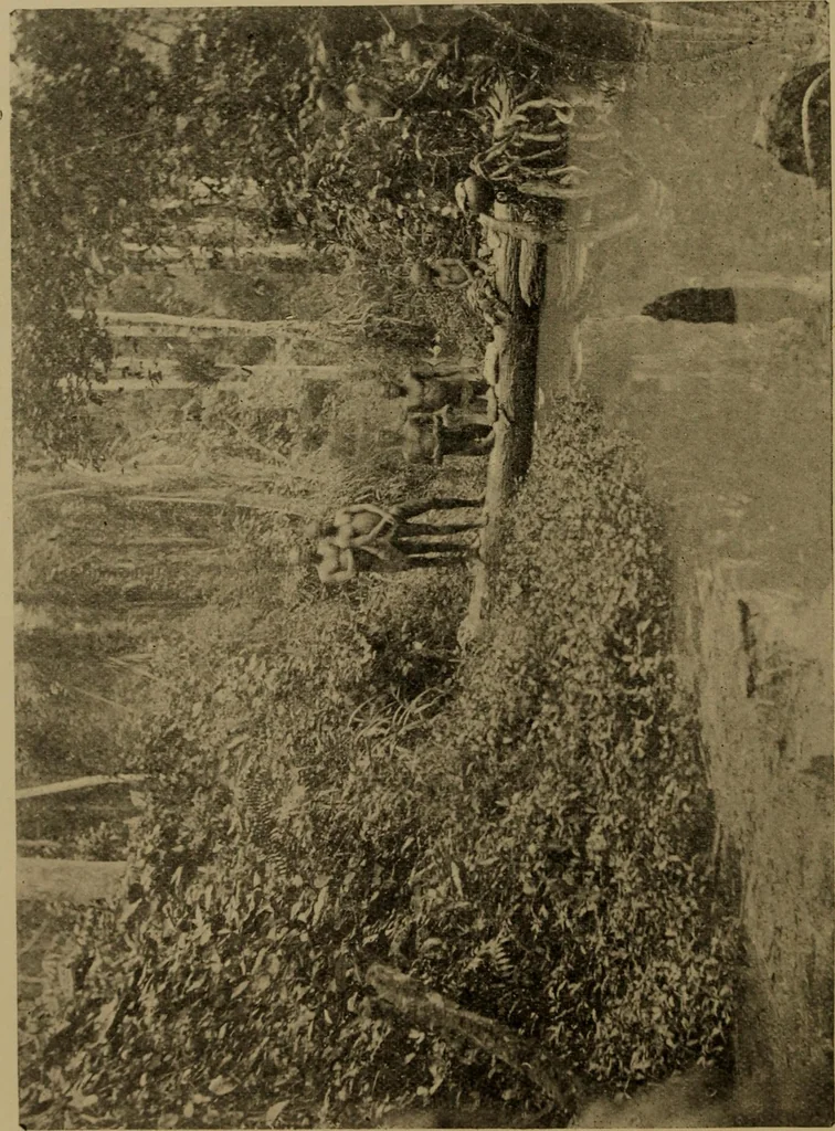 An illustration from Great Benin; its customs, art and horrors, 1903, leaf 160