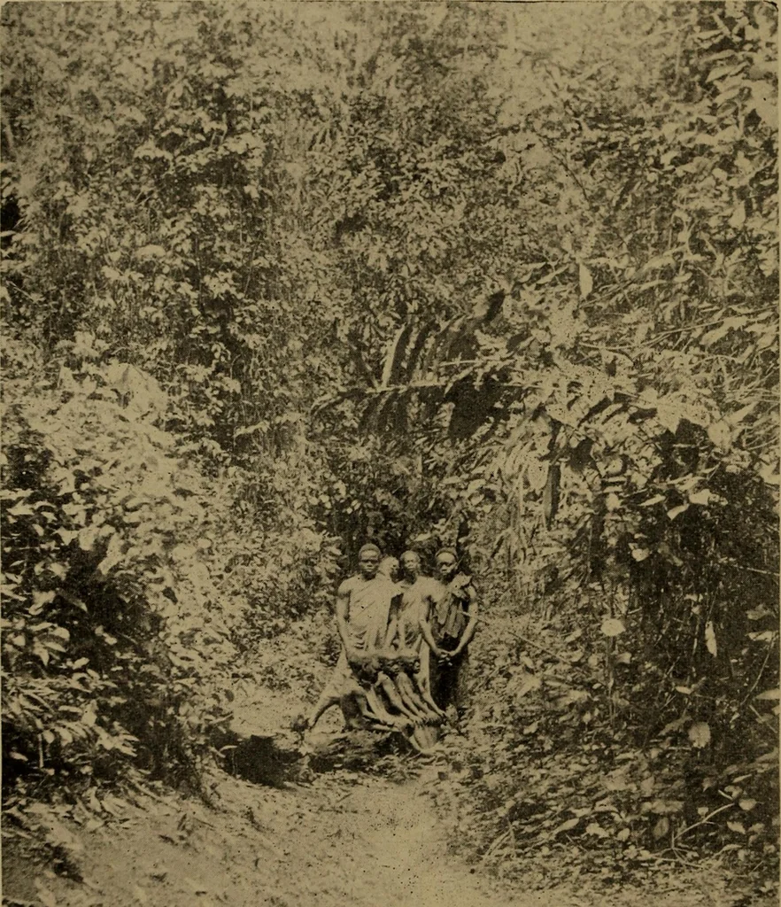 An illustration from Great Benin; its customs, art and horrors, 1903, leaf 164